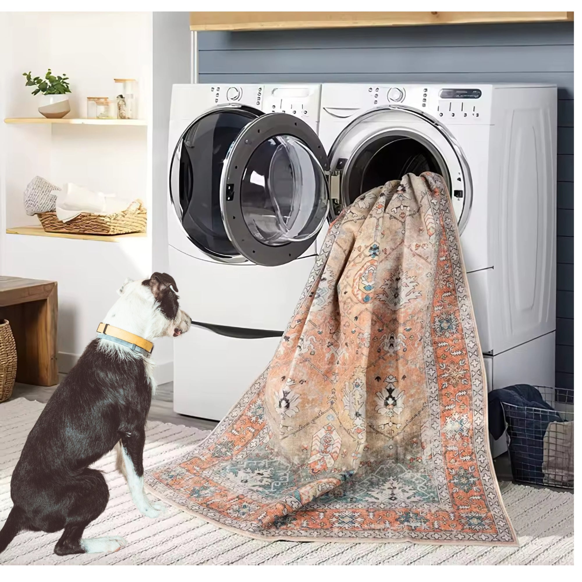 Machine Washable Rugs